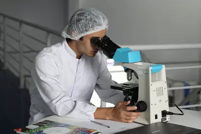 man analyzes medical samples