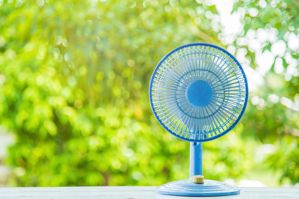 blue electric fan with trees in background